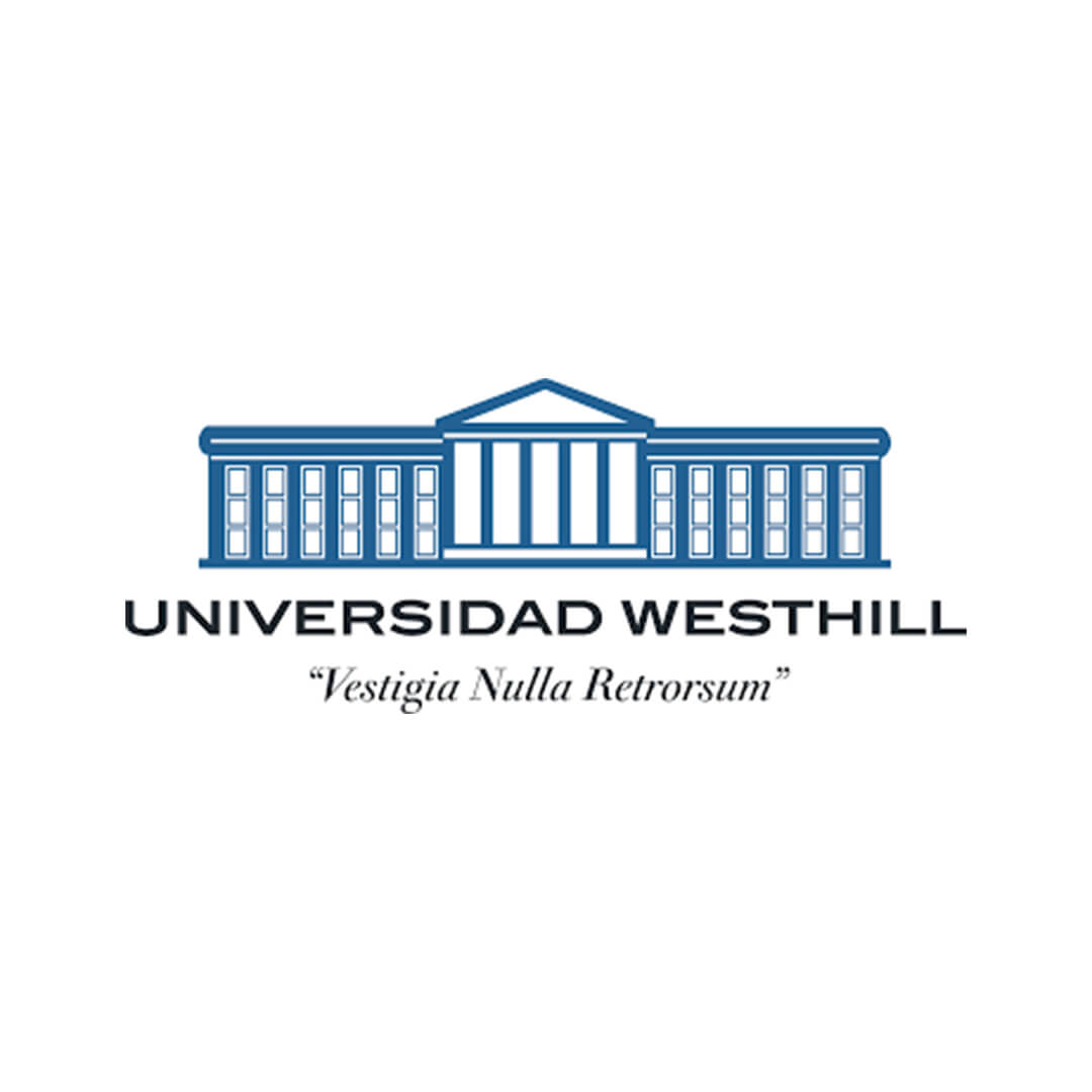 logo 1 3